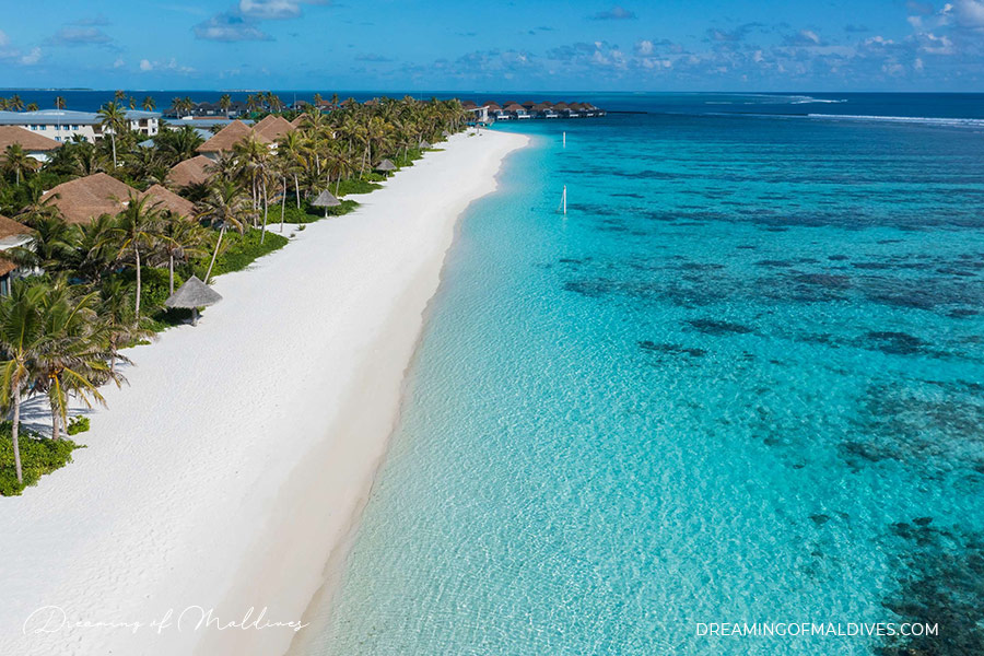 Radisson Blu Resort Maldives south ari atoll whale shark best resort
