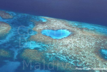 Heart-Shaped Reef in Maldives. Aerial Photo
