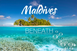 Maldives Blog Resort Reviews, Travel Guide, Photos, Videos