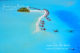 seaplanes on a maldives island