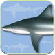 App Sharks and Rays Identification Guide