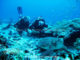 Diving with turtles at Six Senses Laamu - Laamu Atoll Maldives