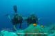 Diving at Six Senses Laamu - Laamu Atoll Maldives Diving at Six Senses Laamu - Laamu Atoll Maldives
