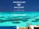 Complete guide to snorkeling at W Maldives