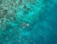 Snorkeling around the reef of NOVA Maldives