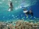 Essential Guide for Snorkeling in Maldives.
