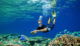 Snorkeling at kihavah maldives