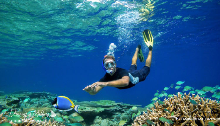 Where Is The Best Snorkeling In Maldives The Best Resorts We ve Seen