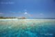 review snorkeling and diving guide Anantara Kihavah maldives