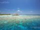 review snorkeling and diving guide Anantara Kihavah maldives
