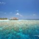 review snorkeling and diving guide Anantara Kihavah maldives