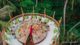 The new Flying Sauces Zipline dining experience soneva fushi