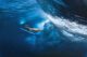 surfing anantara dhigu luxury resort maldives