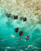 Swim with Manta Rays from The Standard Maldives during Manta Seasons at Hanifaru Bay