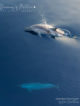Dolphins Maldives Baa Atoll