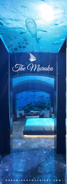 The Muraka The Underwater Residence At Conrad Maldives