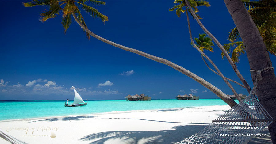 TOP 10 Hôtel de Rêve des Maldives 2018. Gili Lankanfushi #2