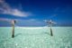 TOP 5 Things to do at Gili Lankanfushi Maldives. Lay in a Hammock in the middle of the lagoon
