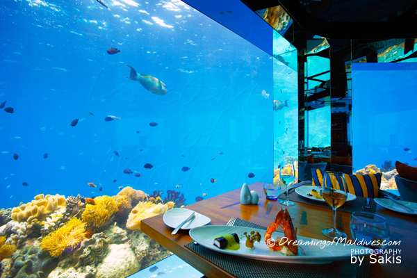 SEA is Designed to optimize the underwater views with windows set lower than the dining tables Dinner Underwater at Sea Anantara Kihavah Villas Maldives