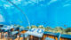 Dresscode at Underwater at restaurant 5.8 Hurawalhi Maldives. Come Barefoot ! Inside 5.8 underwater restaurant maldives