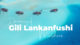 video gili lankanfushi maldives dreaming of