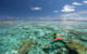 vilamendhoo maldives snorkeling paradise