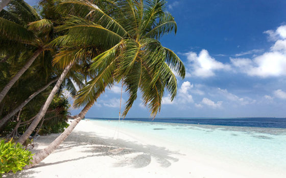 Vilamendhoo Island Resort Maldives All-Inclusive Package + Snorkeling