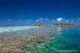 Vilamendhoo best maldives resorts swim with whale sharks TOP 5 best resorts