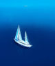 W Maldives luxury sailing yacht ESCAPE swim with whale sharks