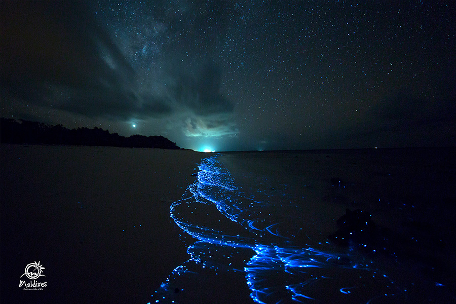 Glowing Beach in Maldives Free desktop Wallpaper | Maldives Background Image