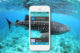 Whale Shark Identification app. by MWSRP
