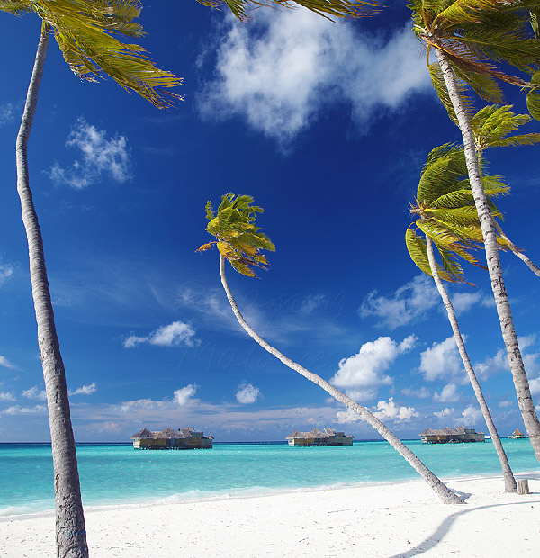 maldives tropical paradise