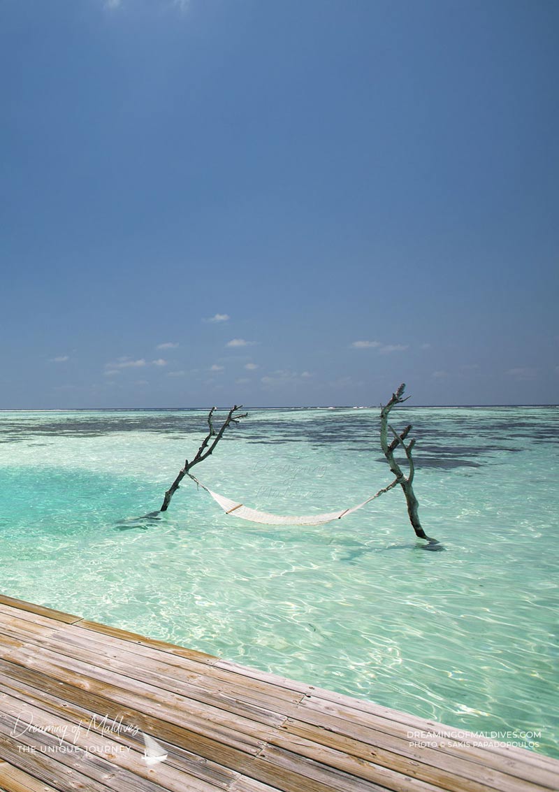 Hammock in lagoon at Gili Lankanfushi Maldives