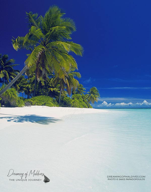 Maldives Paradise beach