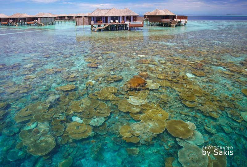 Maldives Lily Beach resort house reef