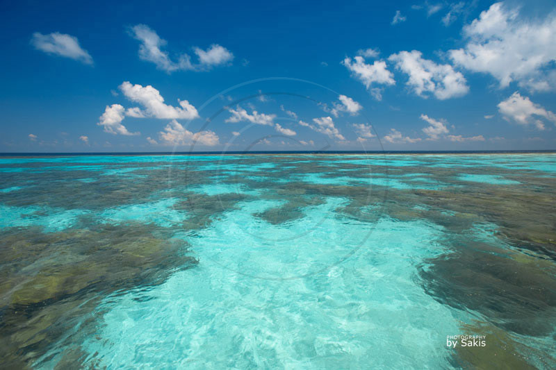 Maldives snorkeling reef