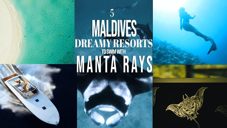 Video of 5 Dreamy Resorts to Swim With Mantas in Maldives