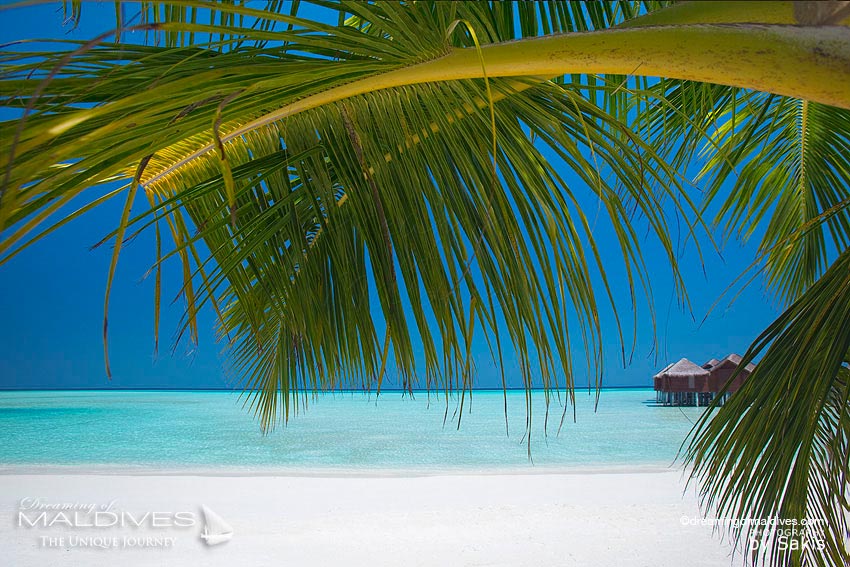 Anantara Dhigu Maldives Beach & Lagoon