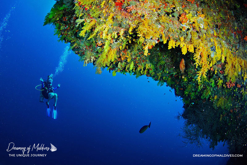 Anantara Kihavah Maldives Diving