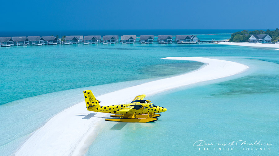 Four Seasons Maldives seaplane design inspired by a Boxfish