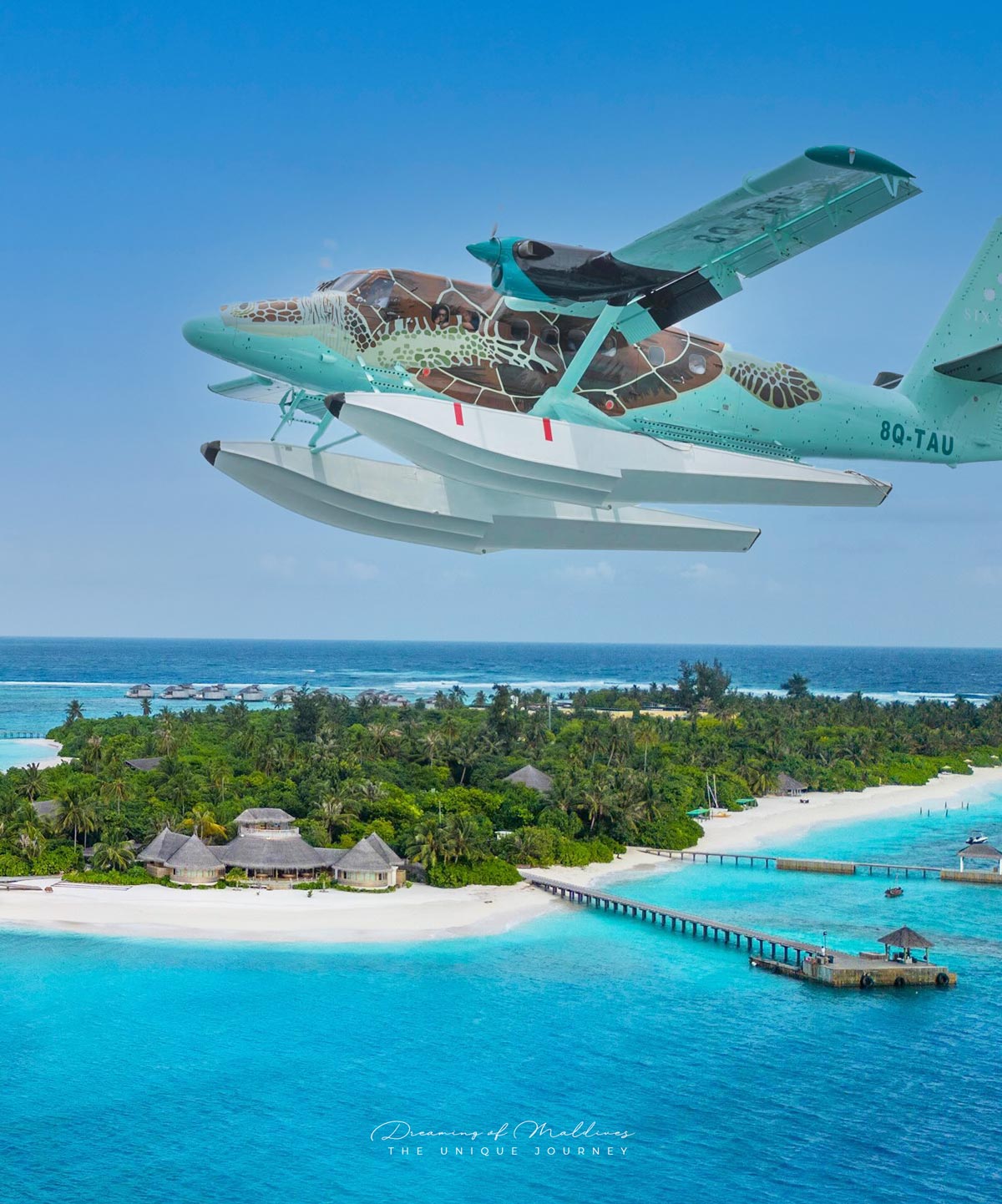 Six Senses Laamu seaplane design inspired by a turtle