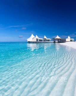 Escape reality for a little while…
Photography @impressionsphotobysakis #indianocean #paradiseisland #maldives #luxurylifestyle #maldivesislands #beautifulmaldives #traveldiary #wanderlust #beachlife #beachvibes #beautifuldestinations #wonderful_places #travel #travelphotography #postcardsfromtheworld #vacation #chillvibes #passionpassport #instatravel #instamood #exploremore #travelgoals #luxuryhotel