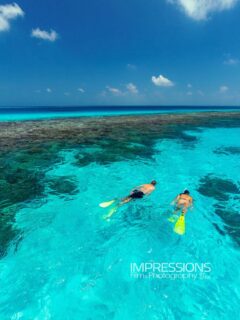 Lost in the blue. 
Finding peace in the clearest water we’ve seen.
This is what dreams are made of.
Photography @impressionsphotobysakis  #indianocean #paradiseisland #maldives #luxurylifestyle #maldivesislands #beautifulmaldives #traveldiary #wanderlust #beachlife #beachvibes #beautifuldestinations #wonderful_places #travel #travelphotography #postcardsfromtheworld #vacation #chillvibes  #passionpassport #instatravel #instamood