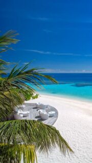 Happiness comes in blue.
🎥 @impressionsphotobysakis  #indianocean #paradiseisland #maldives #luxurylifestyle #maldivesislands #beautifulmaldives #traveldiary #wanderlust #beachlife #beachvibes #beautifuldestinations #wonderful_places #travel #travelphotography #postcardsfromtheworld #vacation #chillvibes  #passionpassport #instatravel #instamood #luxuryhotel