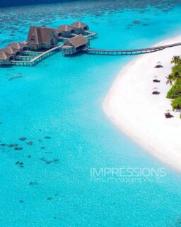 Everything I need today in one frame.
📍Anantara Kihavah Maldives Villas  📷 @impressionsphotobysakis  #indianocean #paradiseisland #maldives #luxurylifestyle #maldivesislands #beautifulmaldives #traveldiary #wanderlust #beachlife #beachvibes #beautifuldestinations #wonderful_places #travel #travelphotography #postcardsfromtheworld #vacation #chillvibes  #passionpassport #instatravel #instamood #luxuryhotel #anantarahotels