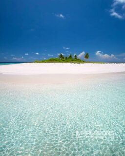 Pure tropical island 🏝️ vibes 📷 @impressionsphotobysakis #indianocean #paradiseisland #maldives #luxurylifestyle #maldivesislands #beautifulmaldives #traveldiary #wanderlust #beachlife #beachvibes #beautifuldestinations #wonderful_places #travel #travelphotography #postcardsfromtheworld #vacation #chillvibes #passionpassport #instatravel #instamood
