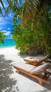 Less worry, more blue 😎
🎥 @impressionsphotobysakis  #indianocean #paradiseisland #maldives #luxurylifestyle #maldivesislands #beautifulmaldives #traveldiary #wanderlust #beachlife #beachvibes #beautifuldestinations #wonderful_places #travel #travelphotography #postcardsfromtheworld #vacation #chillvibes  #passionpassport #instatravel #instamood #luxuryhotel