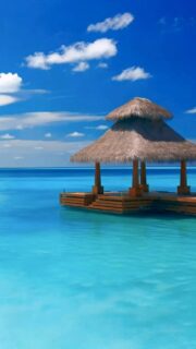 This is all I want …..
🎥 @impressionsphotobysakis #indianocean #paradiseisland #maldives #luxurylifestyle #maldivesislands #beautifulmaldives #traveldiary #wanderlust #beachlife #beachvibes #beautifuldestinations #wonderful_places #travel #travelphotography #postcardsfromtheworld #vacation #chillvibes #passionpassport #instatravel #instamood #luxuryhotel