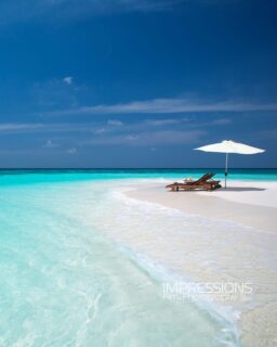Serenity by the endless blue 💙
📷 @impressionsphotobysakis #indianocean #paradiseisland #maldives #luxurylifestyle #maldivesislands #beautifulmaldives #traveldiary #wanderlust #beachlife #beachvibes #beautifuldestinations #wonderful_places #travel #travelphotography #postcardsfromtheworld #vacation #chillvibes #passionpassport #instatravel #instamood #luxuryhotel