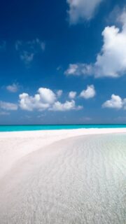 Everything I need, right here …
🎥 @impressionsphotobysakis #indianocean #paradiseisland #maldives #luxurylifestyle #maldivesislands #beautifulmaldives #traveldiary #wanderlust #beachlife #beachvibes #beautifuldestinations #wonderful_places #travel #travelphotography #postcardsfromtheworld #vacation #chillvibes #passionpassport #instatravel #instamood #luxuryhotel #luxurytravel